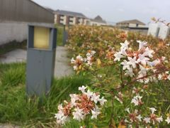 -江苏省苏州实验中学