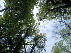 -惠山国家森林公园
