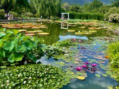 -国家植物园南园