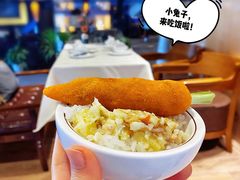 -丁老爷子苏香圆