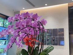 -TSK齿科德申会口腔门诊·联洋诊所