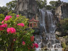-金鸡山公园