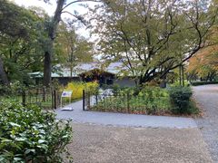 -京都御所