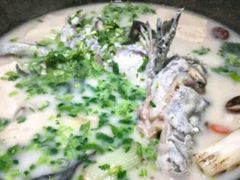 鲜潭蒸汽石锅江团鱼-鲜潭蒸汽石锅鱼(五道口购物中心店)