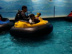 -蒙特利亲子乐园