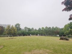 -沙河三洞古桥公园