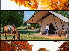 -五角枫生态旅游景区