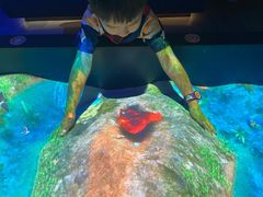 -珠海横琴国家地理探险家中心(创新方)