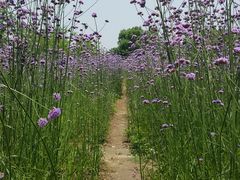 -杭州城北体育公园