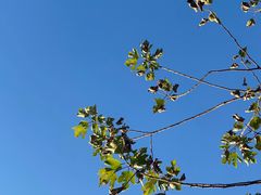 -良渚古城遗址公园