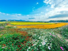 -光明小镇欢乐田园