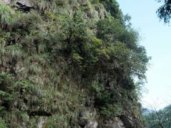 -黄山翡翠谷景区