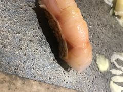 -橼舍鮨青木