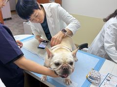 -美联众合动物医院·24h转诊中心