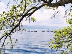 -抚仙湖禄充风景区