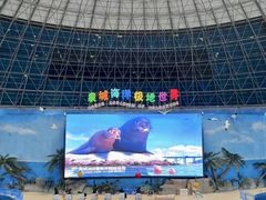 -泉城欧乐堡海洋极地世界