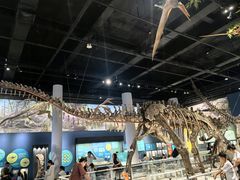 -国家自然博物馆