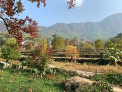 -塔川景区