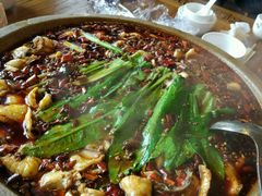 -都江堰石锅鱼