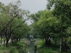 -北坞公园