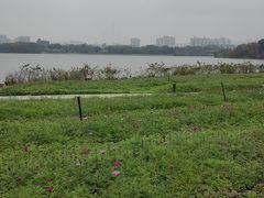 -海珠湖公园