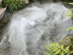 -凤凰山斑鱼馆(恭城店)