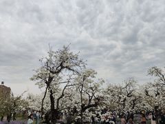 -江苏三台山国家森林公园