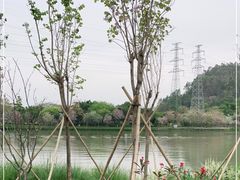 -顺峰山公园