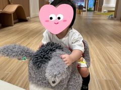 -普陀早教中心(阳光分中心)