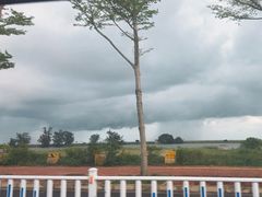 -北海金海湾红树林生态旅游区