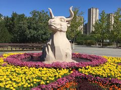 -永定河休闲森林公园