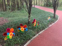 -桤木河湿地公园