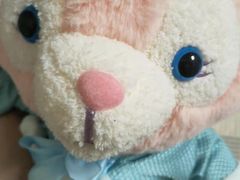 -PAWTOY爪e玩偶店(天兴罗斯福店)