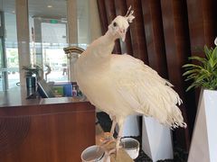 -宁波九龙湖开元度假村