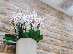 -第六季自助餐厅(甜水园店)
