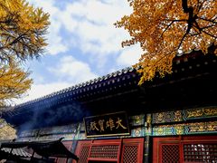 -红螺寺