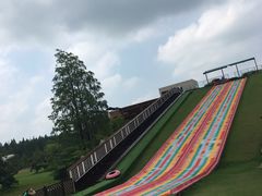 -黄海国家森林公园