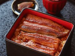 -料亭菊水楼