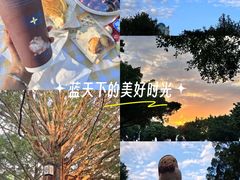 -南宁南湖公园