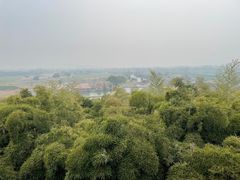 -良渚古城遗址公园