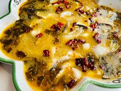 撒椒酸菜鱼-撒椒·四川江湖菜(大族广场店)