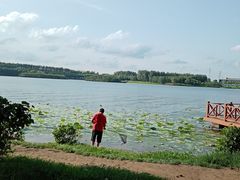 -丁香湖公园