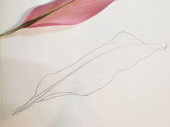-八哥美术·成人美术画室(总校区)