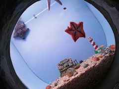 -常州海昌海洋探索馆