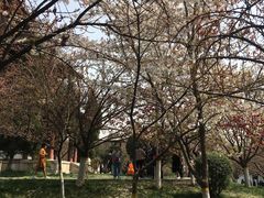 -西安青龙寺遗址景区