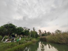 -桂溪生态公园