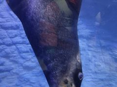 -海合安青岛极地海洋公园
