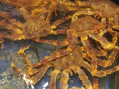 -海景壹号大酒店(滨湖店)