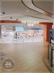 -THE COLORIST调色师