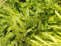 -郑享吃烧烤烩面(红专路店)